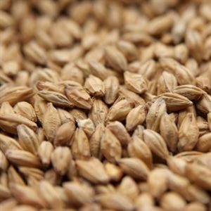  Weyermann® Floor-Malted Bohemian Pilsner Malt