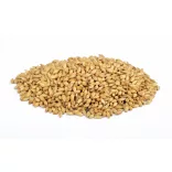 Weyermann® BARKE® Vienna maláta 6-9 EBC 25 kg