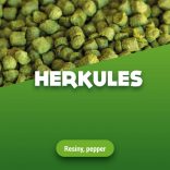 Hop pellets Herkules 100 g