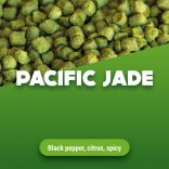 Pacific Jade hop pellets 100g