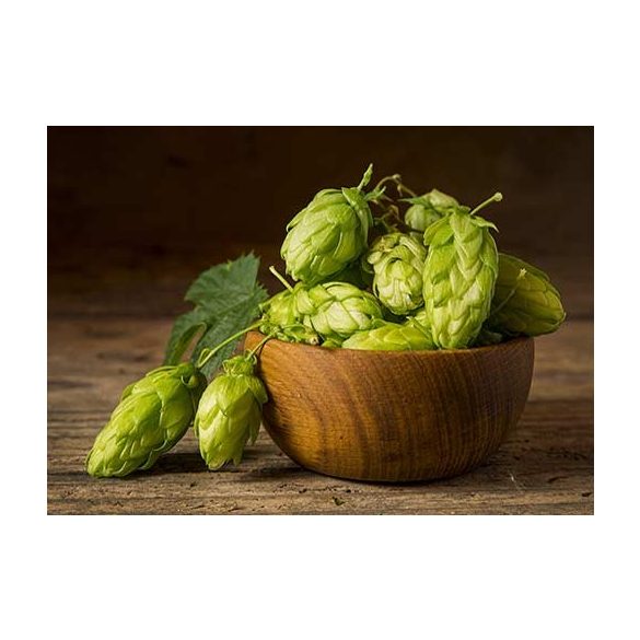  Hop pellets Willamette 100 g 