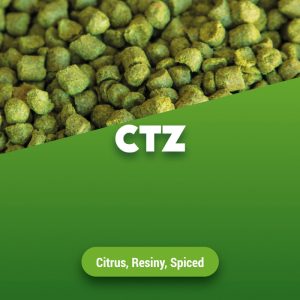 Hop pellets CTZ 100 g 