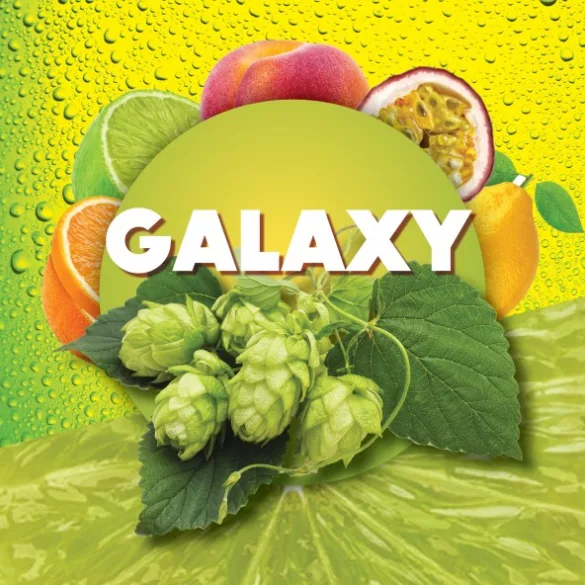  Komló pellet Galaxy - 100 g 