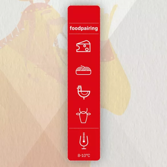  Brewferm beer kit Special Belge 