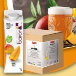 Brewferm Kit de malt sör és gyümölcs kombináció: Sour-Mango sörfőző készlet 20l