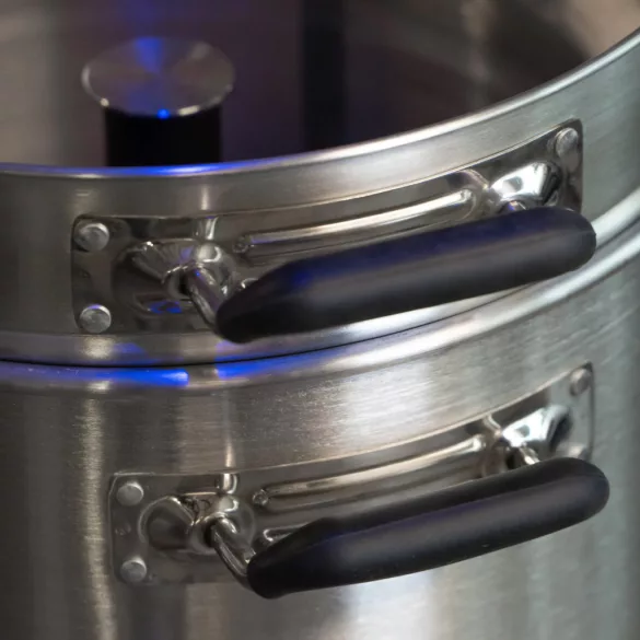 Ss Brewtech™ SVBS Single Vessel Brewing System 45 l