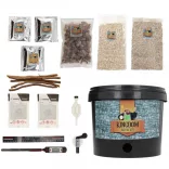  Kingdom Brew Kit - Christmas Beer 