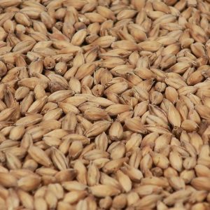 Maris Otter Ale Maláta - Crisp Malting Group /kg