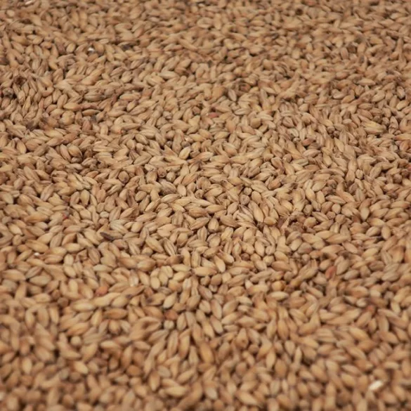 Maris Otter Ale Maláta - Crisp Malting Group /kg
