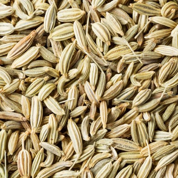 Fennel seeds 100g