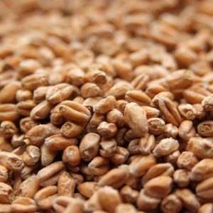  Weyermann® Pale Wheat Malt