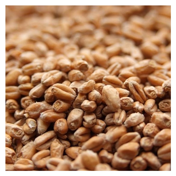  Weyermann® Pale Wheat Malt