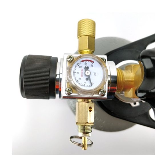 Mini All-In-One Regulator 