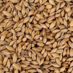 Weyermann Carapils Malt (EBC 2.5 - 6.5)