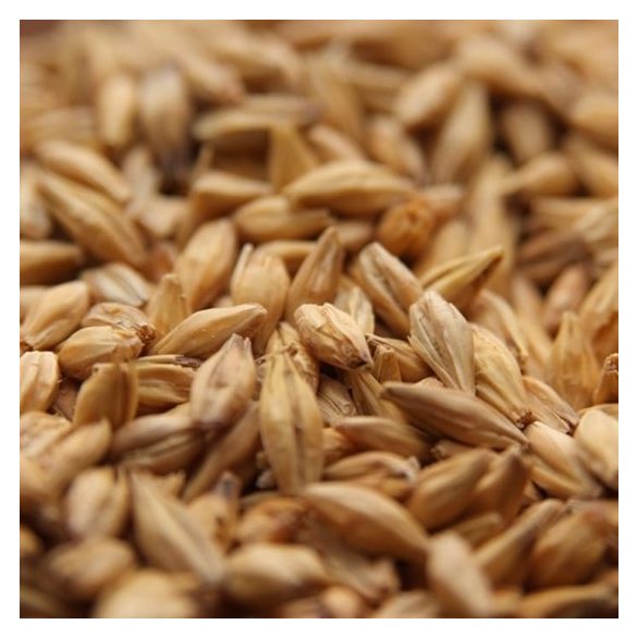  Weyermann® Acidulated Malt