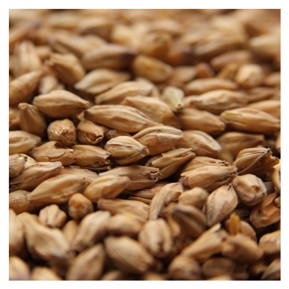  Weyermann® Beech Smoked Barley Malt