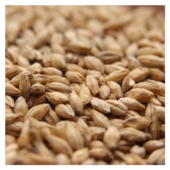  Weyermann® Bohemian Pilsner Malt