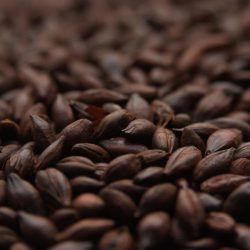    Weyermann® CARAFA® Type 1 Csokoládé maláta(EBC:800-1000)