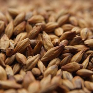  Weyermann® CARAMUNICH® Type 1 Malt