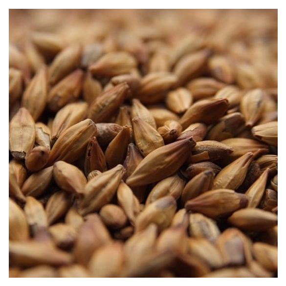  Weyermann® CARAMUNICH® Type 1 Malt