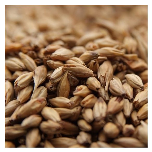  Weyermann® CARAAMBER® Malt