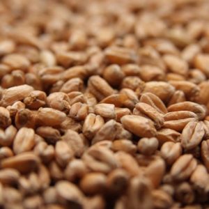  Weyermann® Tölgyfán füstölt Búza Maláta (EBC:4-6)