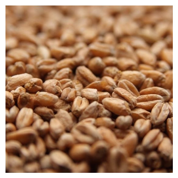  Weyermann® Oak Smoked Wheat Malt