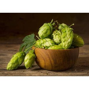 German Magnum Hops (Pellets)